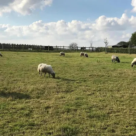 Holiday home Holiday Home In Sittard With Pool