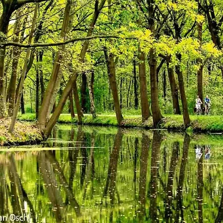 Holiday Home In Sittard With Pool * Spaubeek