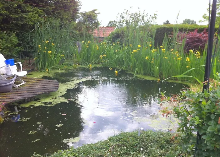 In Sittard With Pool