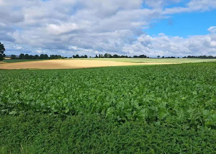 In Sittard With Pool *