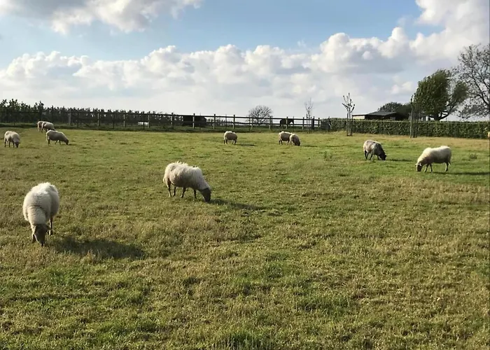 別荘 In Sittard With Pool