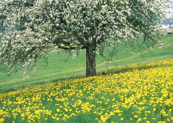 別荘 In Sittard With Pool *