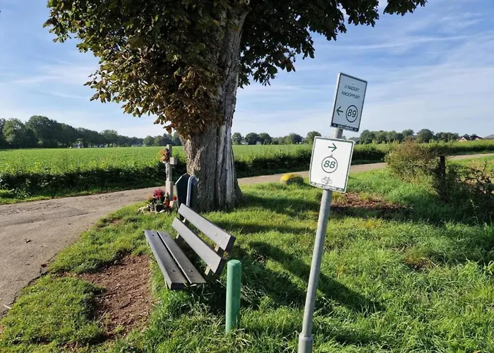 In Sittard With Pool 別荘 Spaubeek